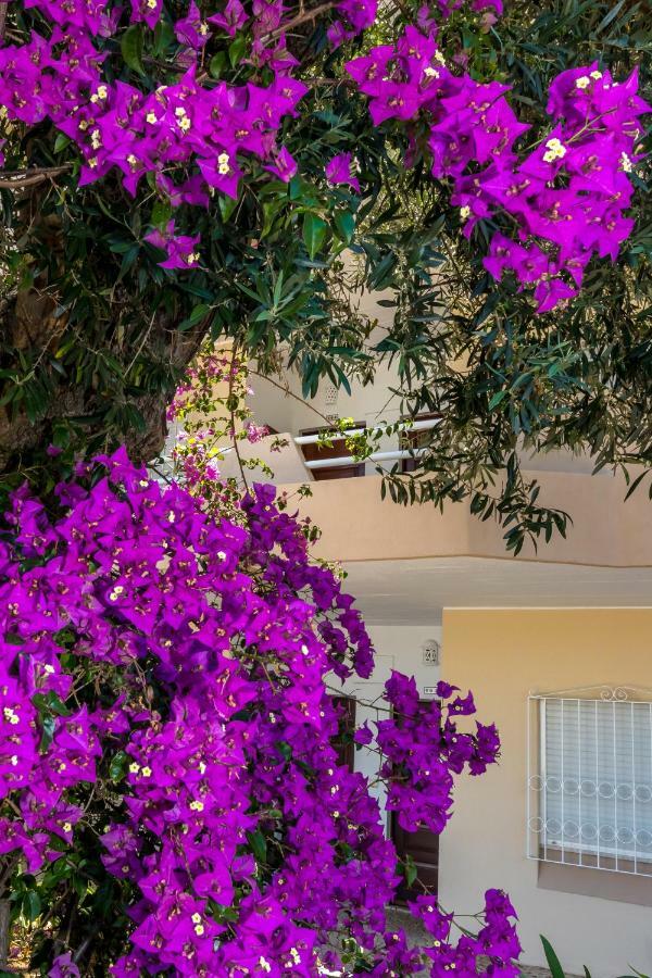 Camilla Apartment Albufeira Exterior photo